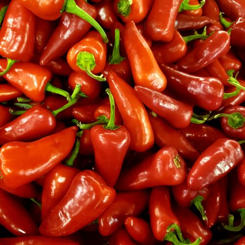 Hot Peppers